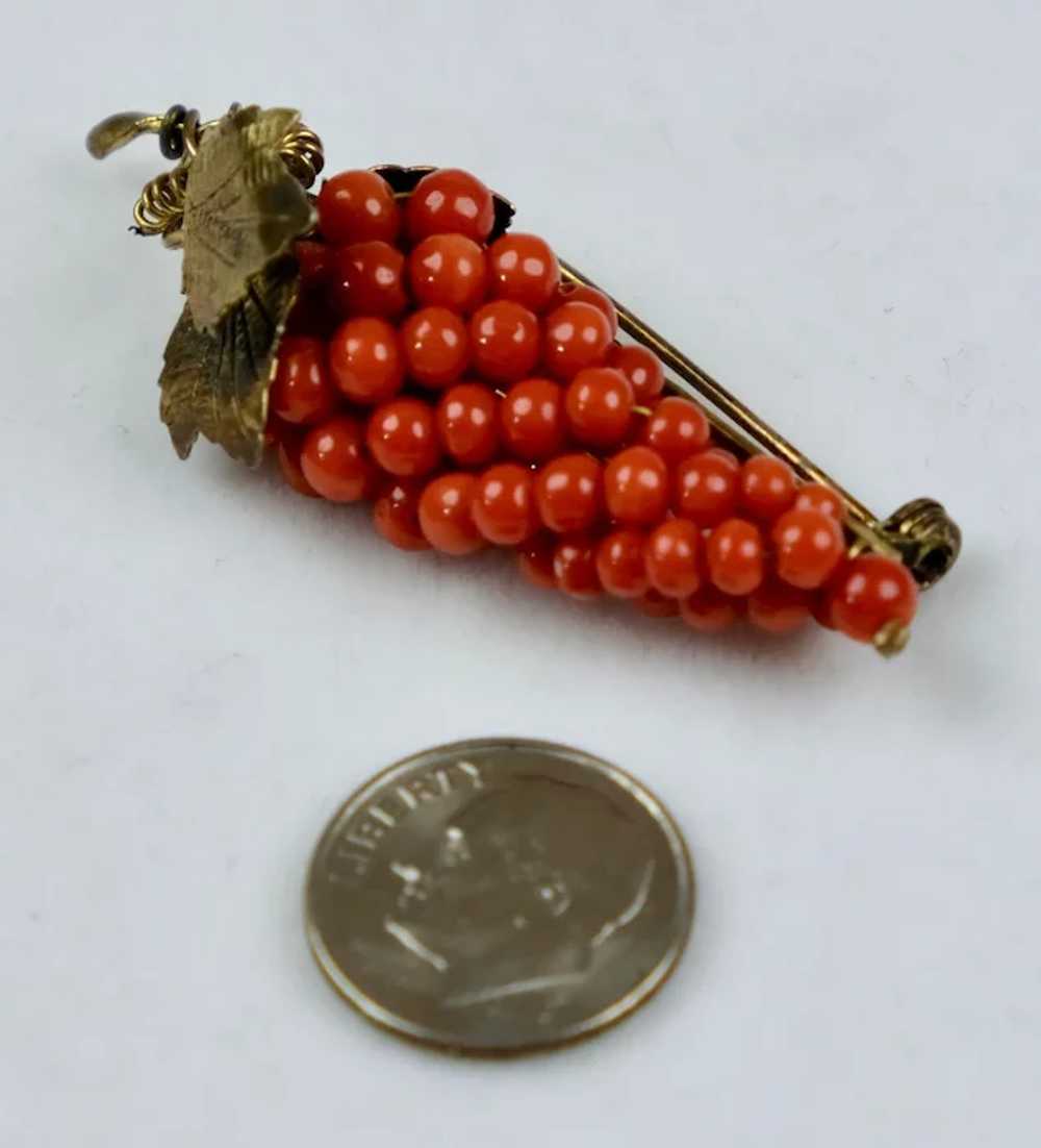 Quality Victorian Gold Salmon Coral Grapes Brooch - image 4
