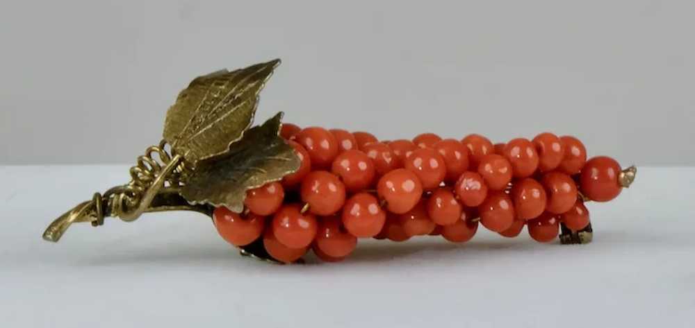 Quality Victorian Gold Salmon Coral Grapes Brooch - image 5