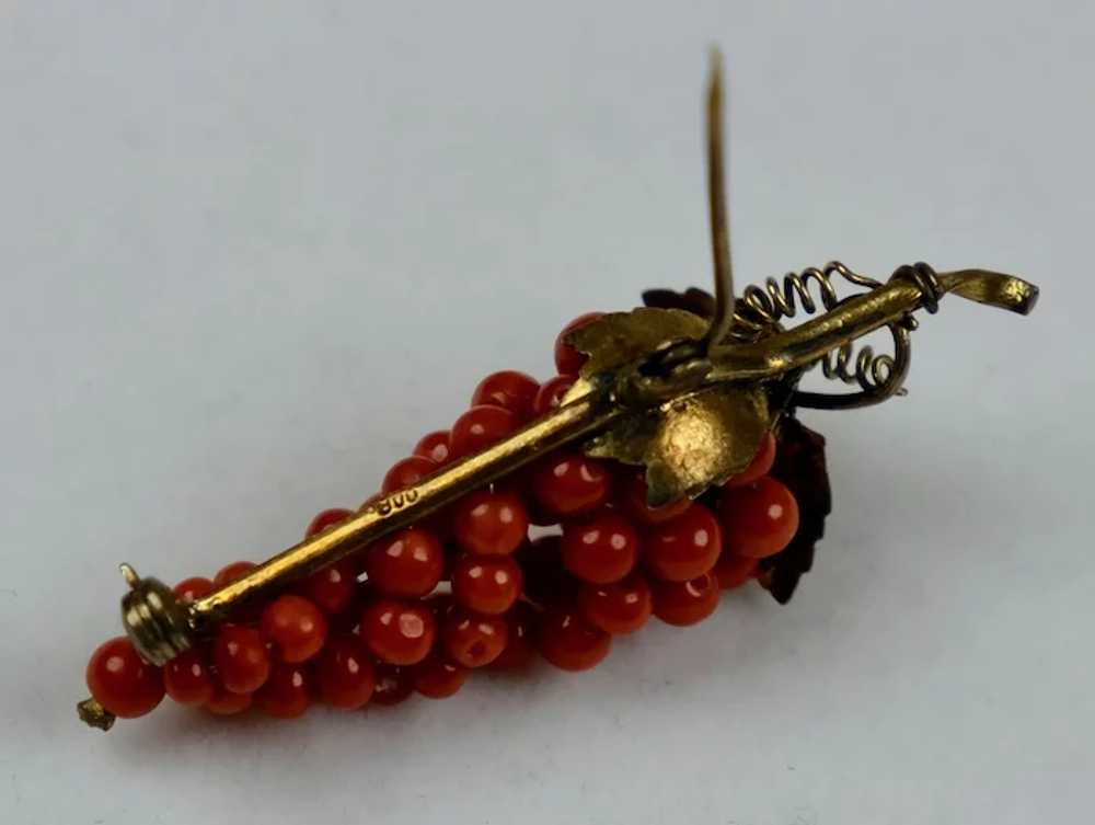 Quality Victorian Gold Salmon Coral Grapes Brooch - image 7