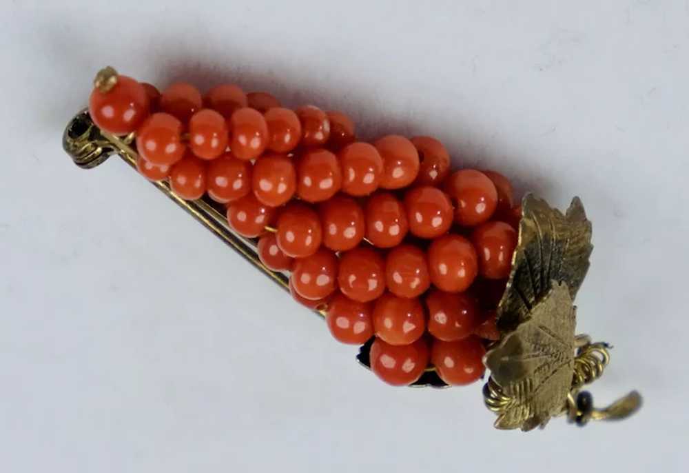 Quality Victorian Gold Salmon Coral Grapes Brooch - image 8