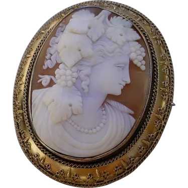 Amazing 19th Century Large Cameo Set 14K Gold Broo