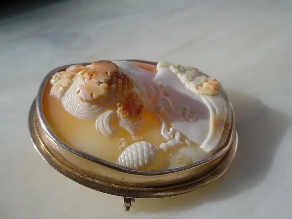 Antique Shell Cameo, Museum Quality, 14K Gold, Ba… - image 4