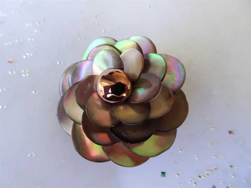 BEAUTIFUL French Lustrous Shell Brooch,Floral 3 D… - image 2