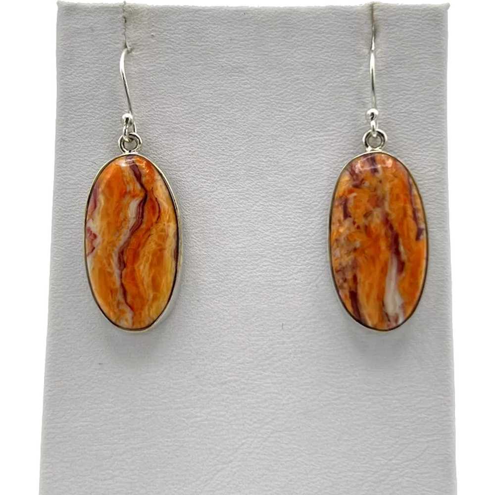 Lion's Paw Shell Earrings - Sterling Silver - image 1