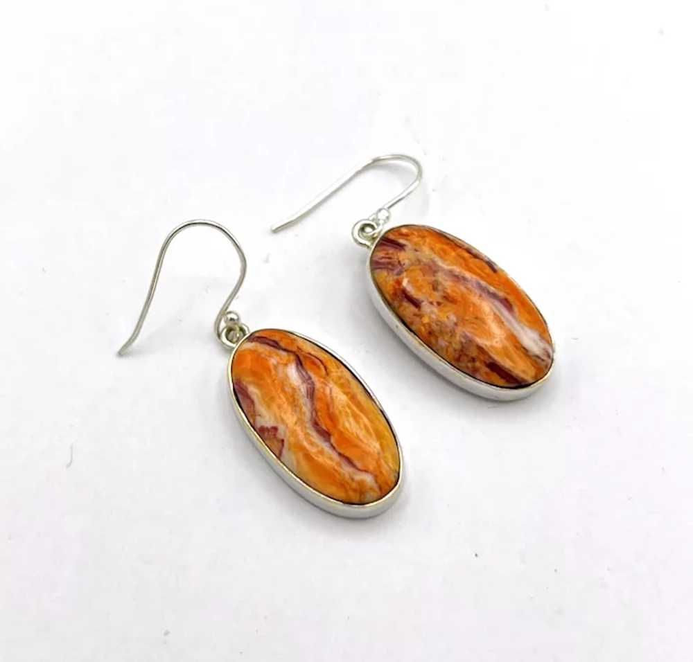 Lion's Paw Shell Earrings - Sterling Silver - image 3