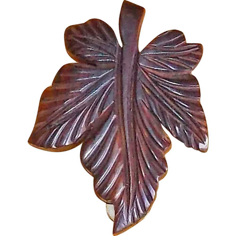 Fabulous Art Deco CARVED WOOD Leaf Dress Clip Bro… - image 1
