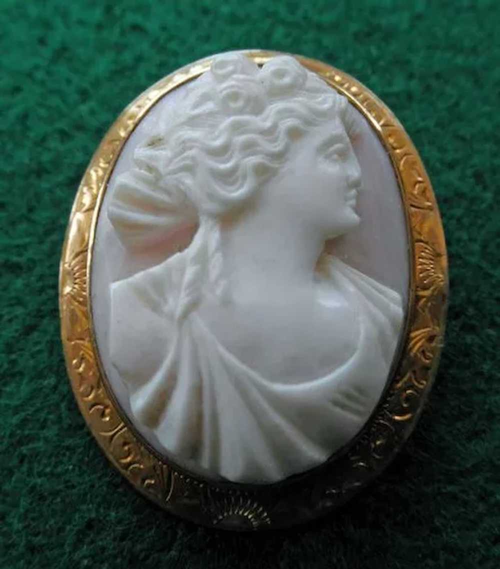 Angelskin Coral Cameo Brooch 9K YG - image 1