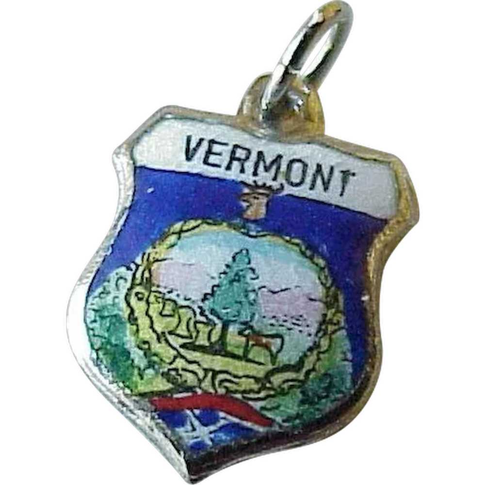 Vermont US State Vintage Charm Hand Painted Glass… - image 1