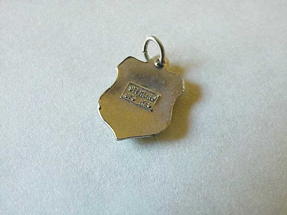 Vermont US State Vintage Charm Hand Painted Glass… - image 2