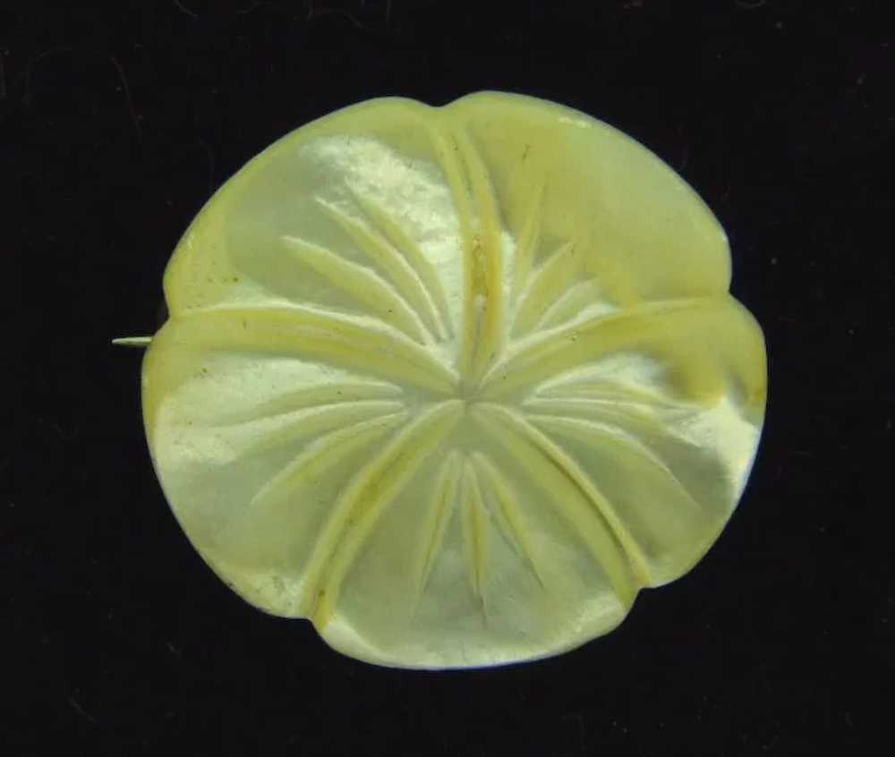 Early Mother of Pearl carved flower Brooch - image 3