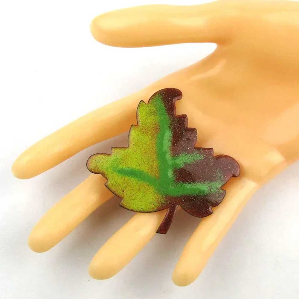 Vintage Enamel on Copper Leaf Set Pin Earrings Le… - image 6