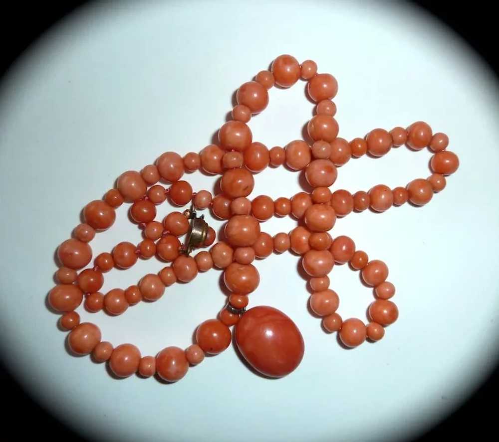 Victorian Coral Bead Necklace w Coral Cab Drop - image 7