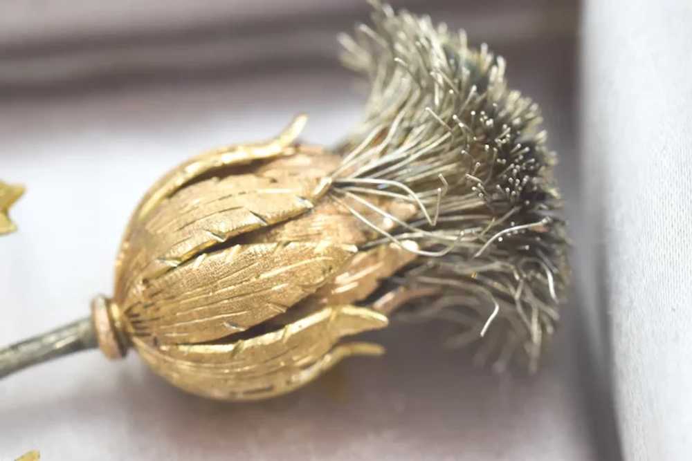 Rare Buccellati Mid-Century Thistle Flower Brooch… - image 3