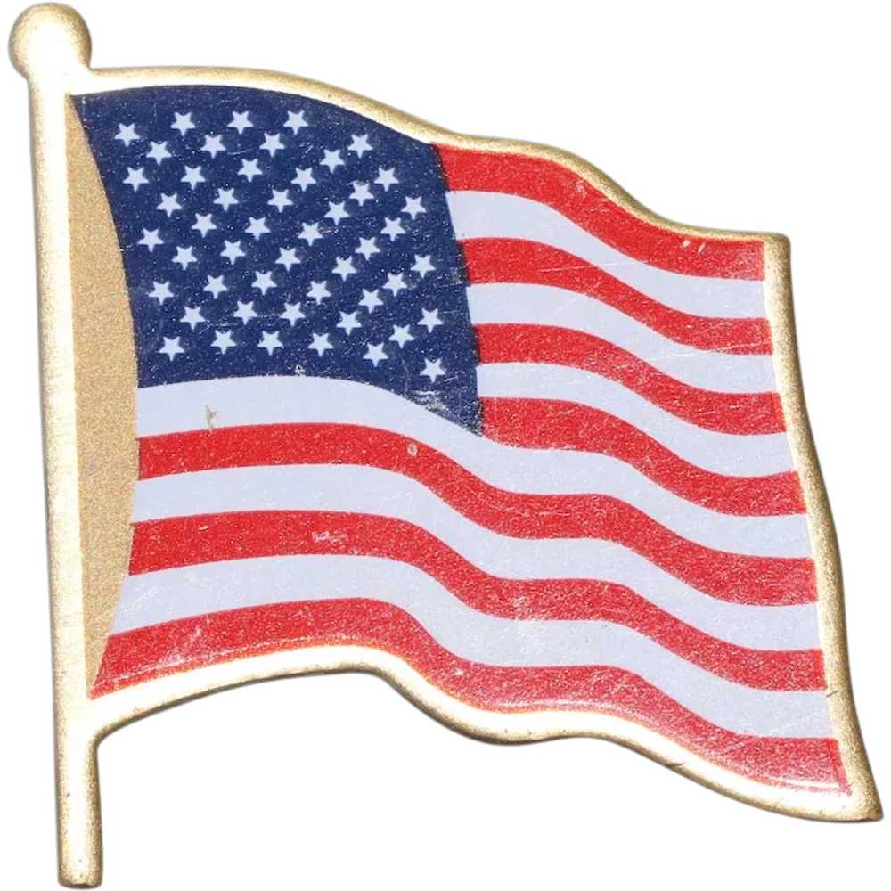 The U.S. Flag Pin - image 1