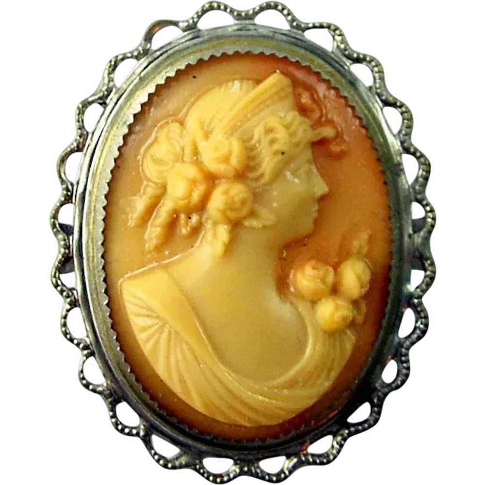 Vintage Celluloid High Relief Detailed CAMEO Broo… - image 1