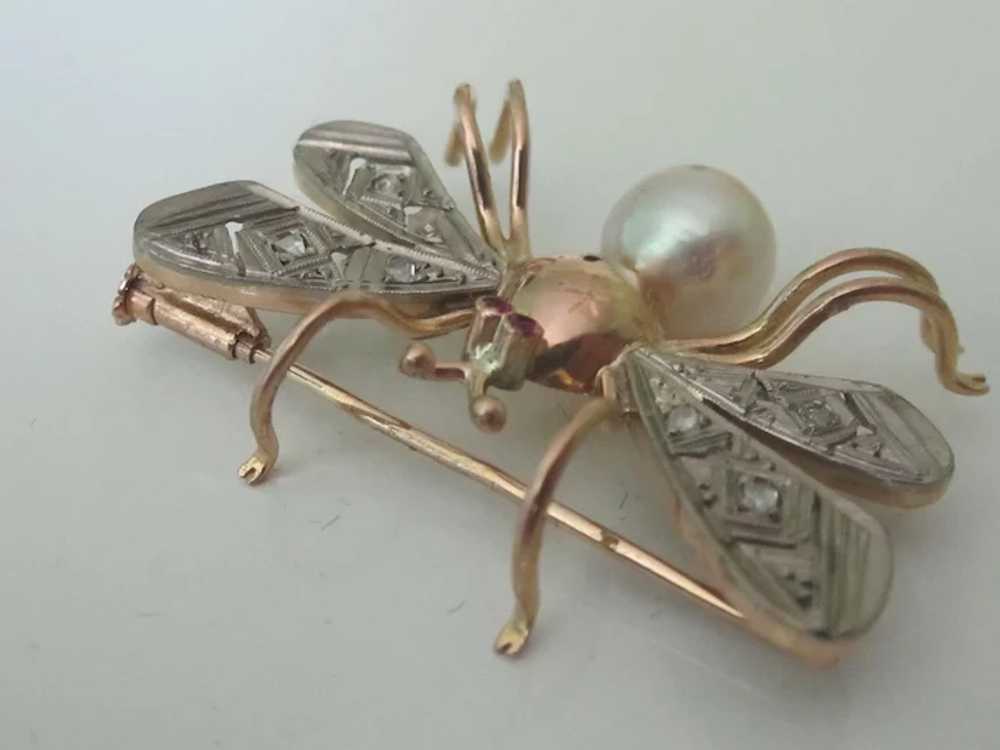 European Bug Brooch 18K Rose Gold Platinum Diamon… - image 3