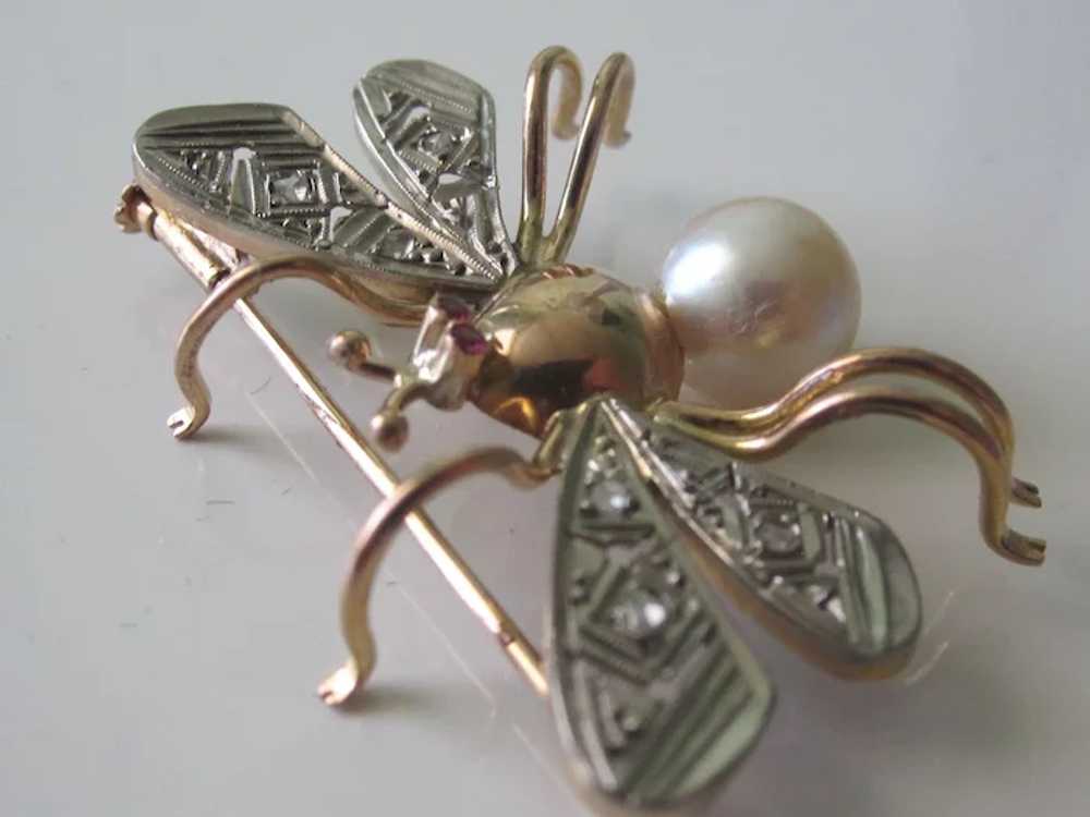 European Bug Brooch 18K Rose Gold Platinum Diamon… - image 5