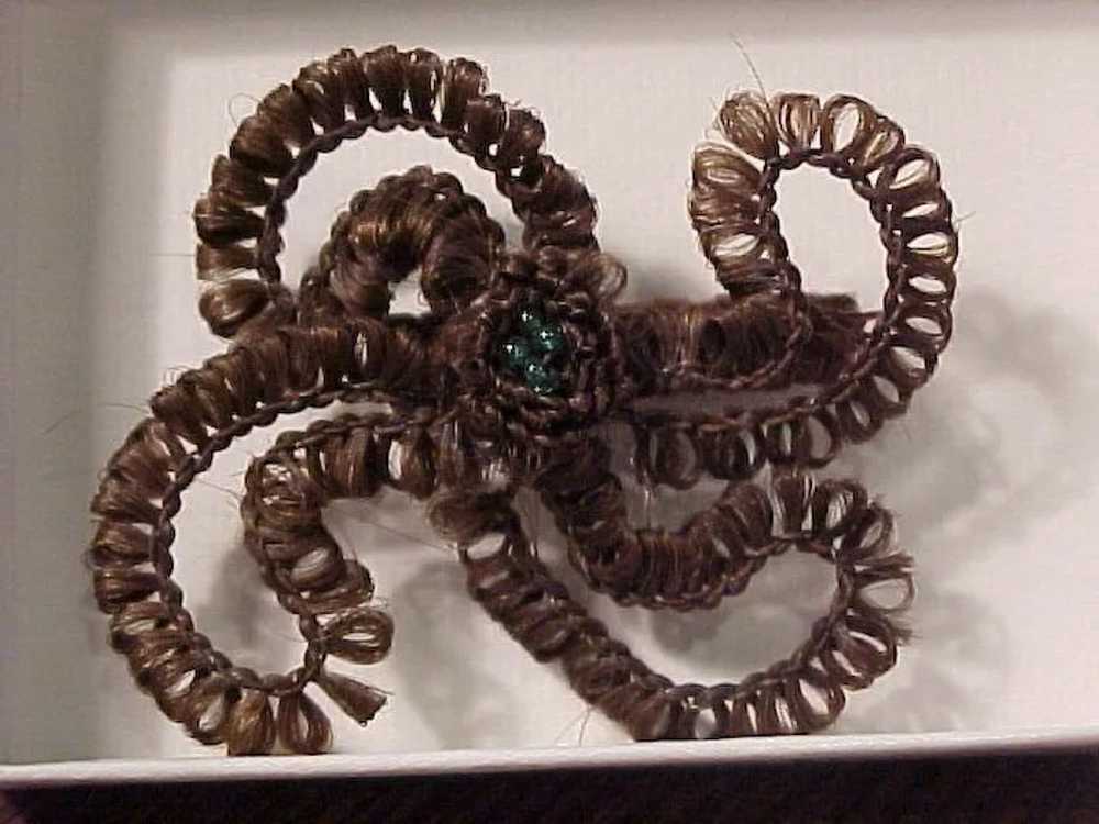 Elaborate Victorian Hair  Mourning Brooch - image 3