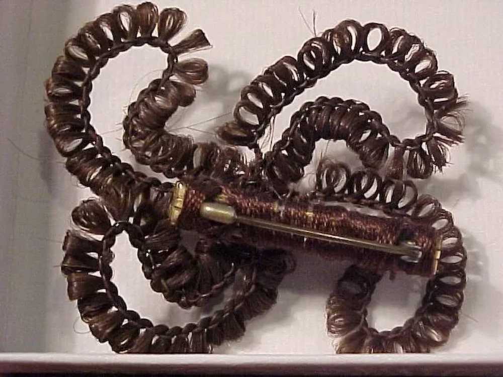 Elaborate Victorian Hair  Mourning Brooch - image 4