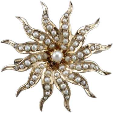Antique Cultured Seed Pearl Starburst Brooch