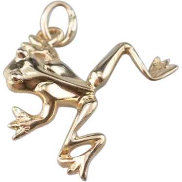 Large Frog Charm Pendant