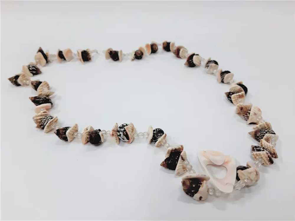 Vintage shells and mussels necklace - image 6