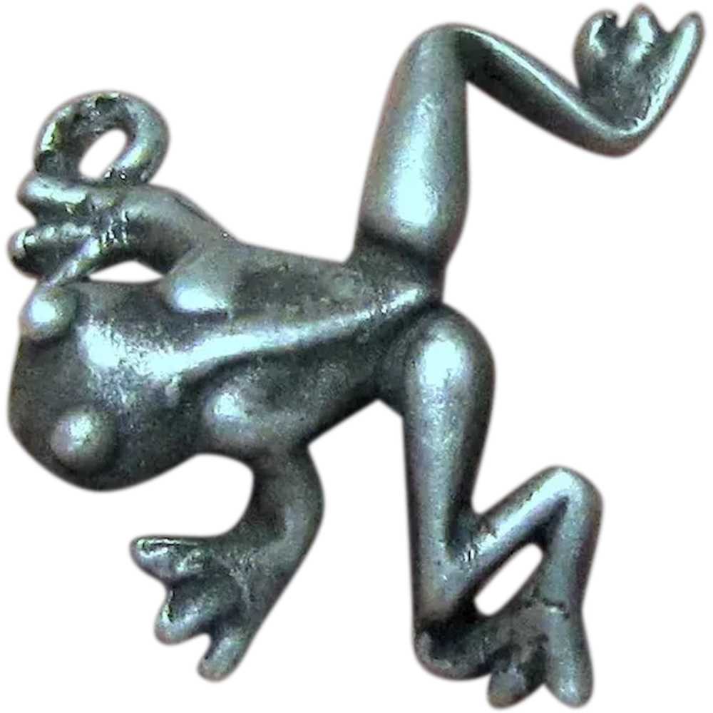 Small Sterling Silver Frog 3D Charm - image 1