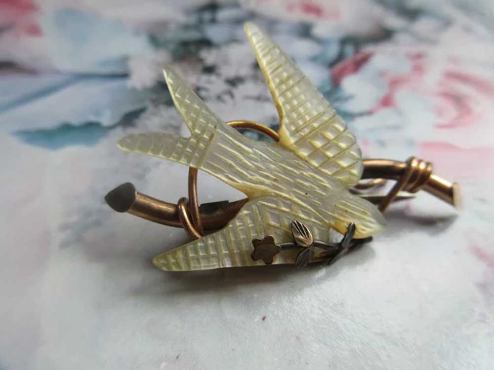 Victorian Antique Dove Of Peace Pin in Gold Fill … - image 2