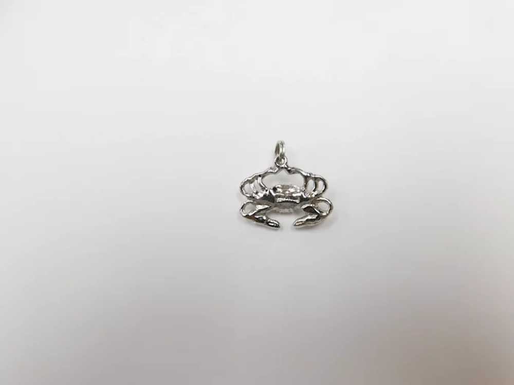 Crab or Cancer Zodiac Vintage Charm Sterling Silv… - image 8