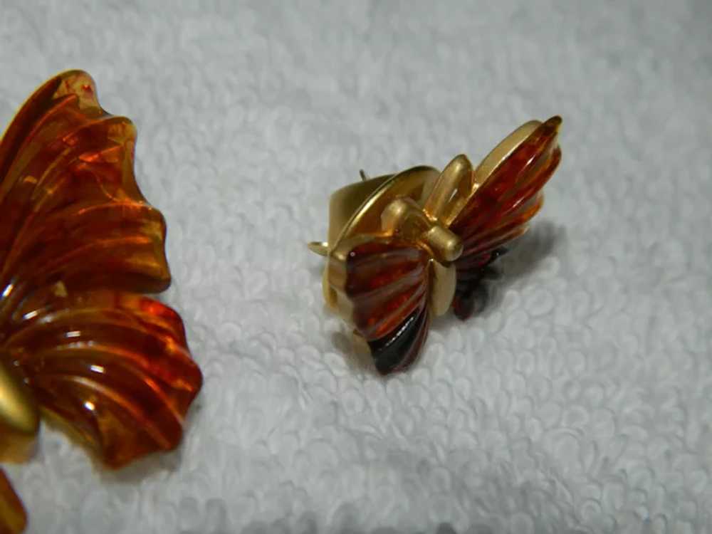 Beautiful Root beer Lucite Butterfly Scatter Pin … - image 3