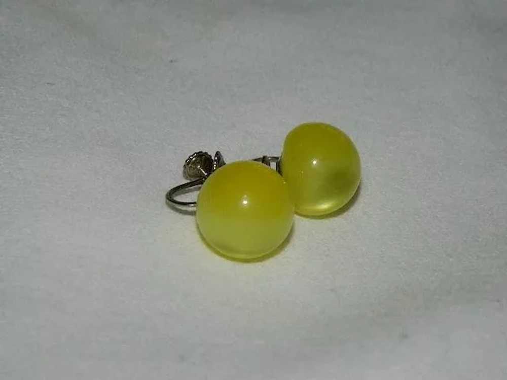 Rare Yellow Moonglow Screw Back Earrings - image 2