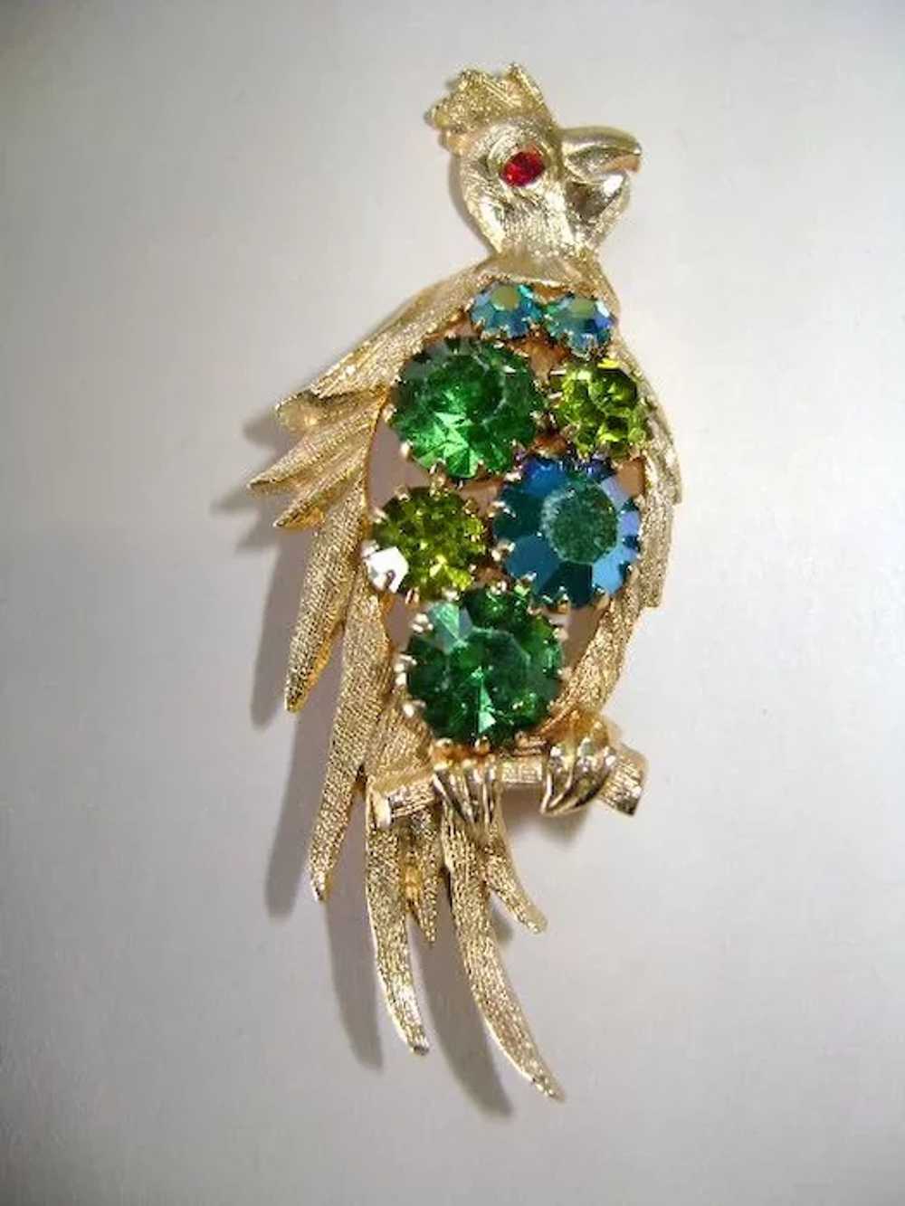 Lovely Polly with a Green Vest Bird Brooch - image 2