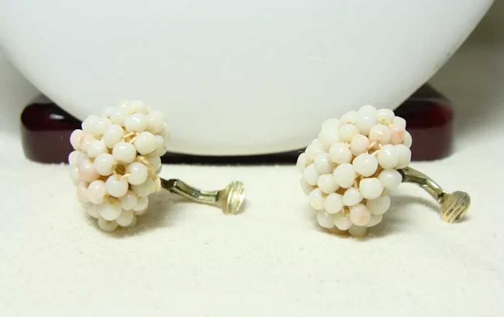 Antique Angel Skin Coral Necklace and Earrings - image 3