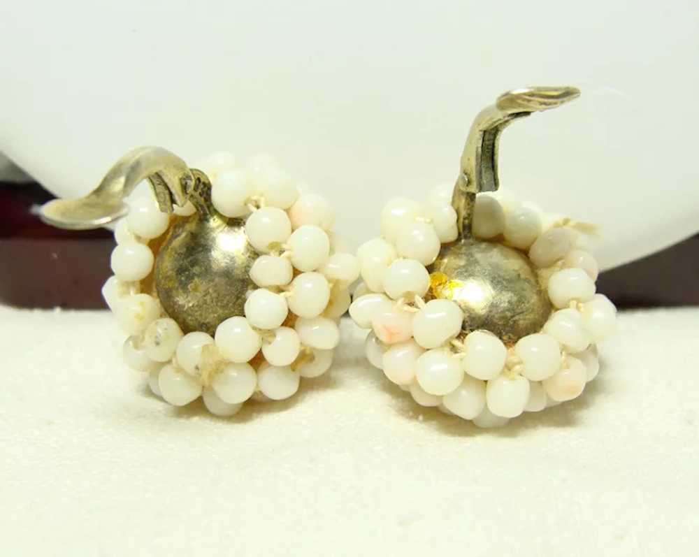 Antique Angel Skin Coral Necklace and Earrings - image 5
