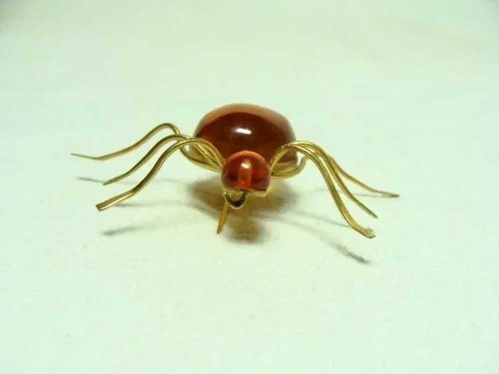 Vintage Amber Spider Brooch - image 3