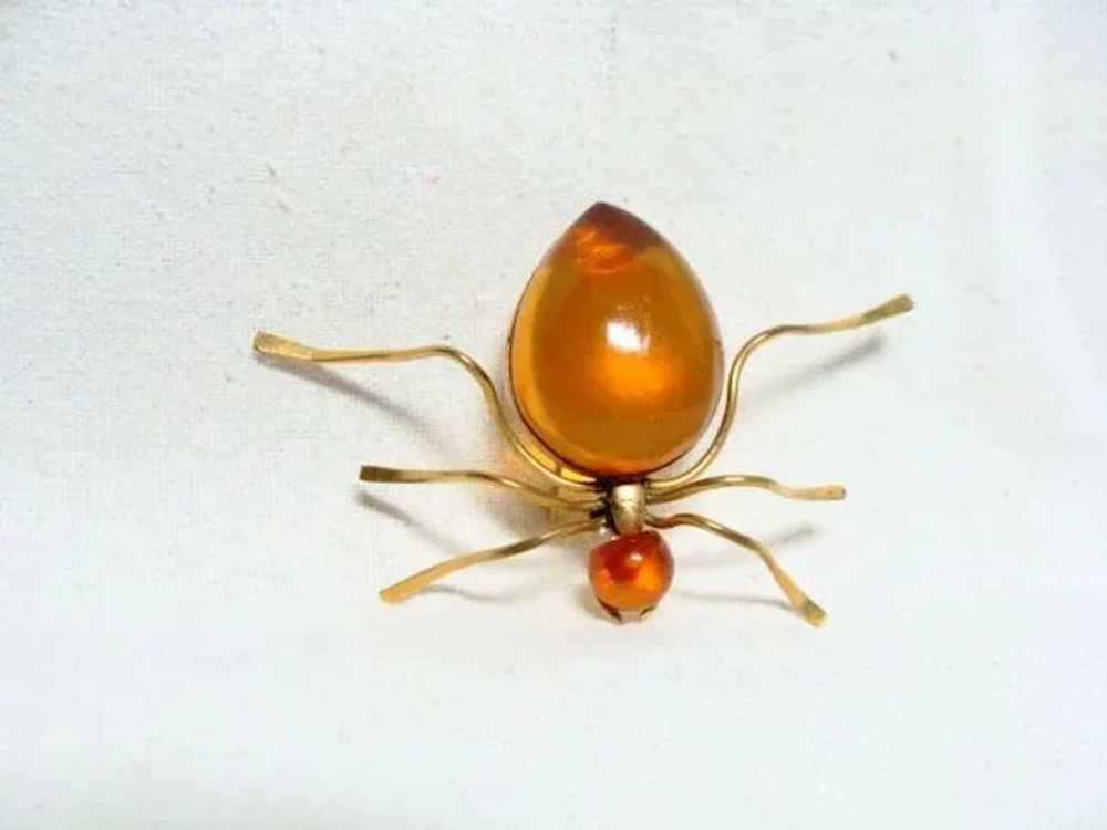 Vintage Amber Spider Brooch - image 4