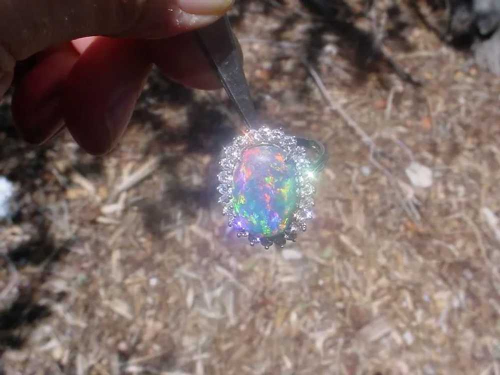 Gorgeous Australian Lightening Ridge Black Opal 8… - image 7