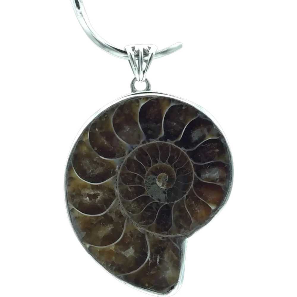 Ammonite Fossil Pendant - Sterling Silver - image 1