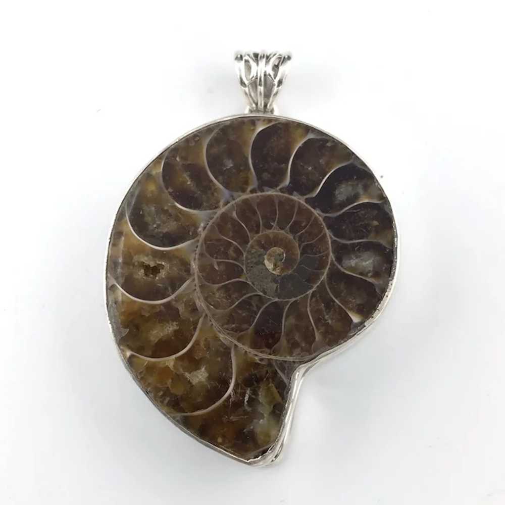 Ammonite Fossil Pendant - Sterling Silver - image 2