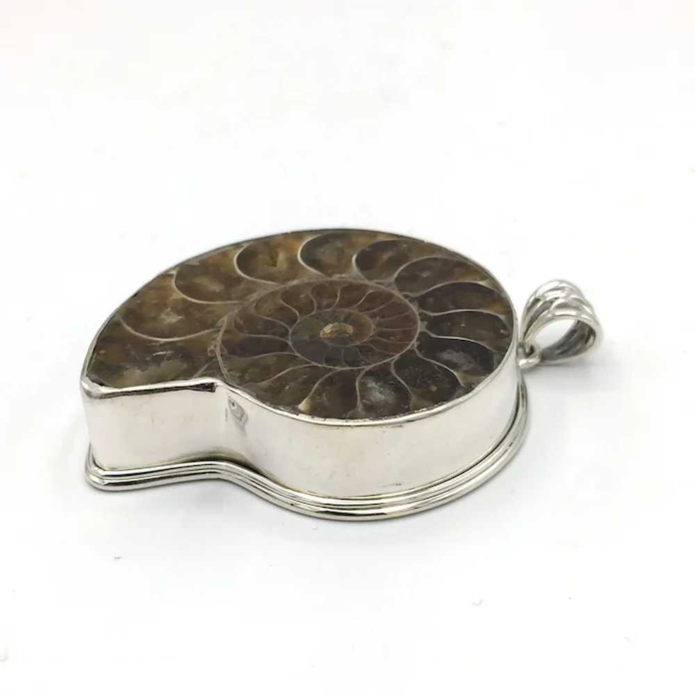 Ammonite Fossil Pendant - Sterling Silver - image 3