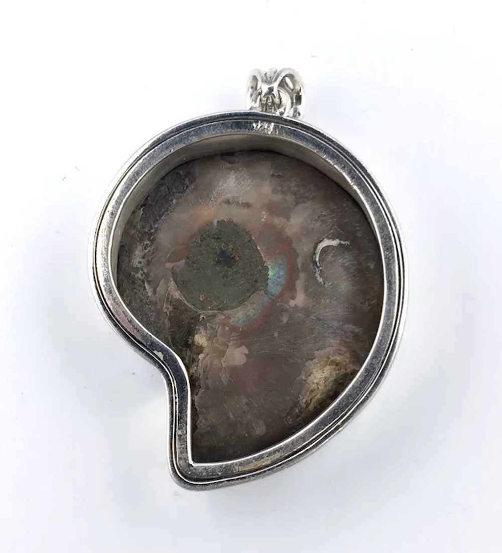 Ammonite Fossil Pendant - Sterling Silver - image 4