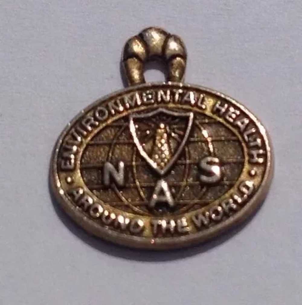 NAS 10 K Gold Filled Charm - image 1