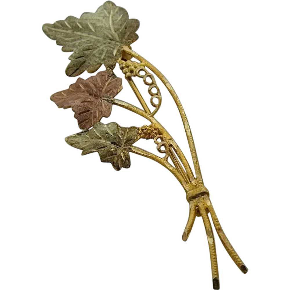 Vintage 10K Black Hills Gold Leaves & Grapes Pin - image 1