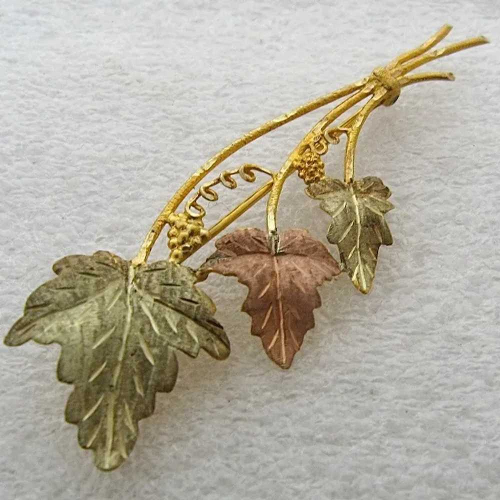 Vintage 10K Black Hills Gold Leaves & Grapes Pin - image 2