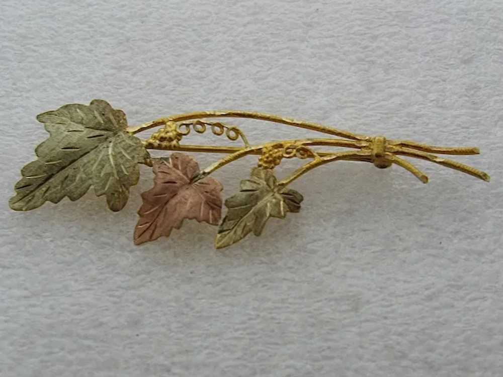 Vintage 10K Black Hills Gold Leaves & Grapes Pin - image 3