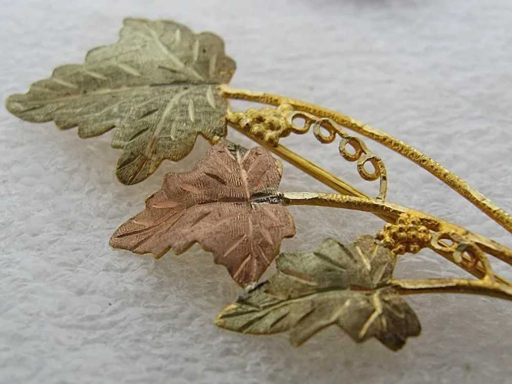 Vintage 10K Black Hills Gold Leaves & Grapes Pin - image 6