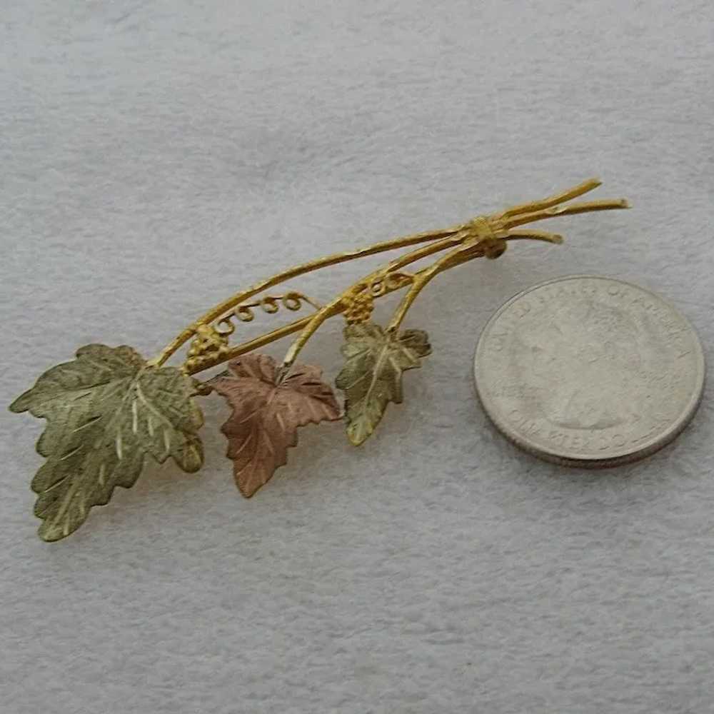 Vintage 10K Black Hills Gold Leaves & Grapes Pin - image 7