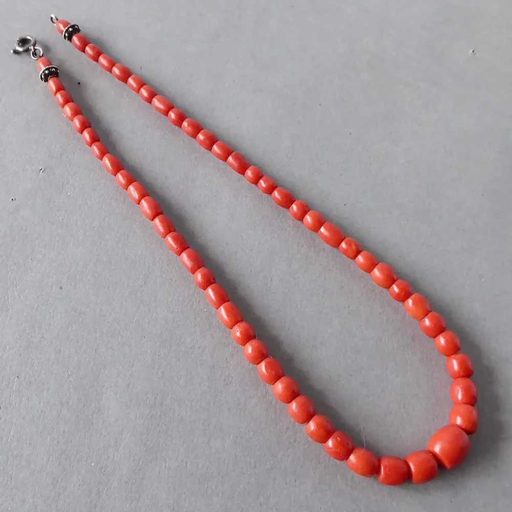 Vintage Native American Red Branch Mediterranean Red Coral Necklace - Ruby  Lane