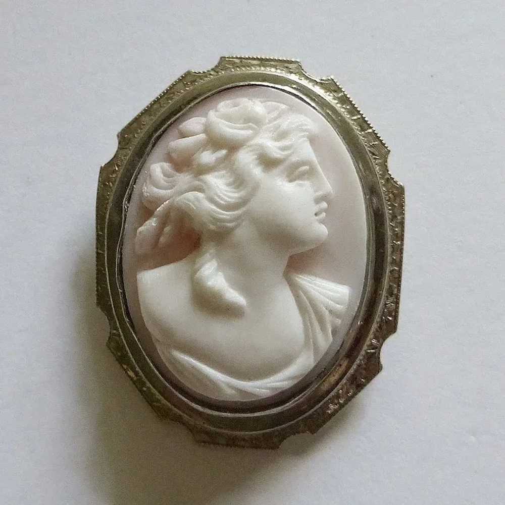 14k White Gold Rosalyn Shell Woman Cameo Pin - image 8