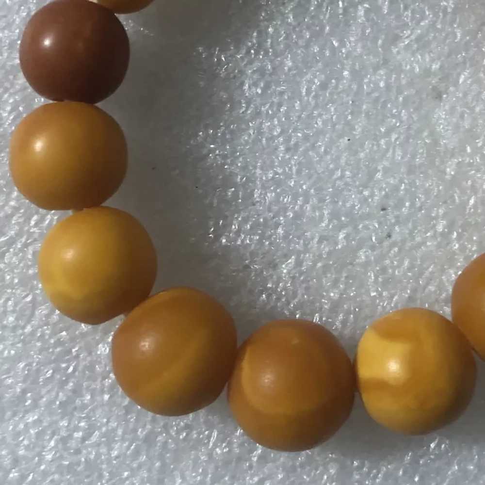 Antique Genuine Butterscotch Amber Round Beads St… - image 4
